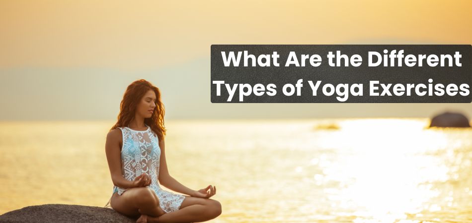 What Are the Different Types of Yoga Exercises