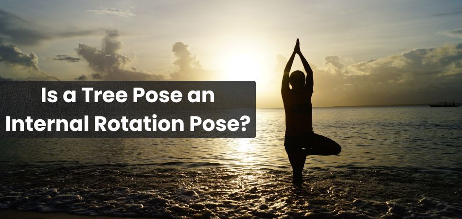 Is a Tree Pose an Internal Rotation Pose