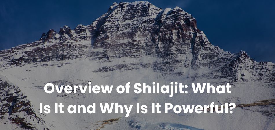 Overview of Shilajit: What Is It and Why Is It Powerful