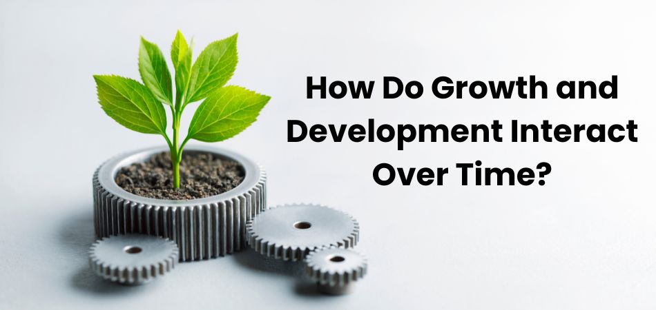 How Do Growth and Development Interact Over Time