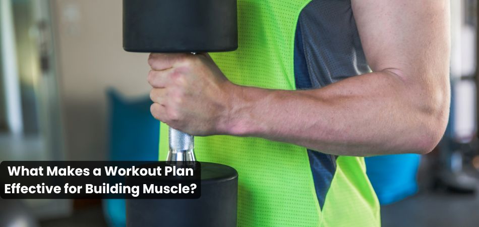 What Makes a Workout Plan Effective for Building Muscle